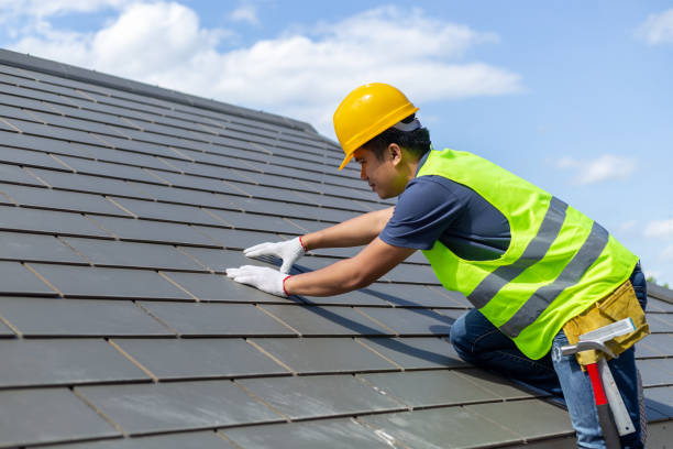 Best Storm Damage Roof Repair  in Willis, TX
