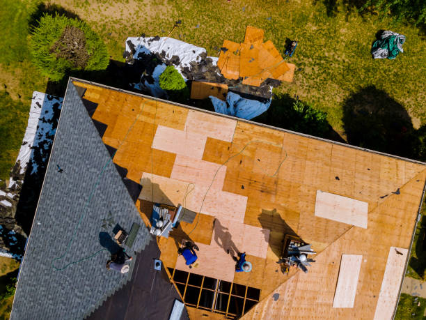 Best Flat Roof Repair Services  in Willis, TX