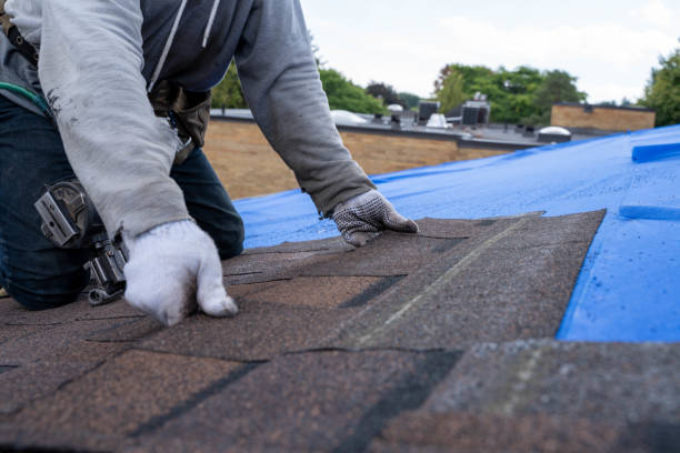 Roof Repair Estimates in Willis, TX