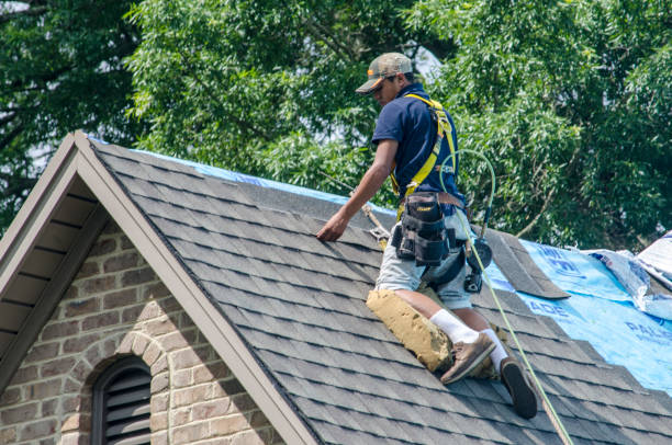 Roof Installation Near Me in Willis, TX
